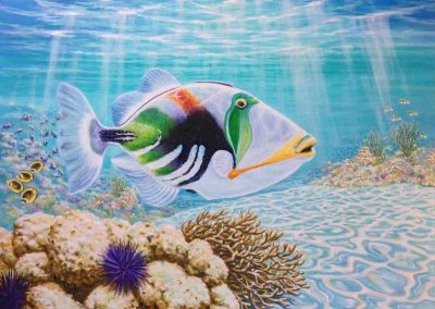 n Trigger Fish-Picasso Fish