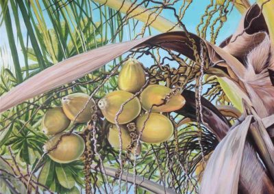 Kahala Coconuts